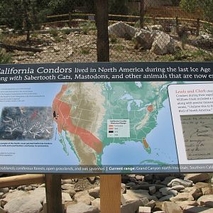 Condor Cliffs - Signage