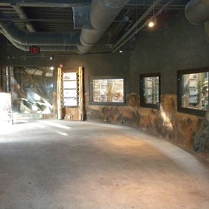 Africa Live snake and civet exhibits