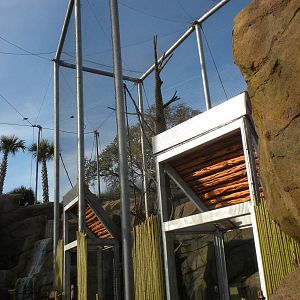 Colobus and Mangabey exhibit