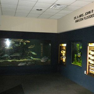 Kipp Aquarium