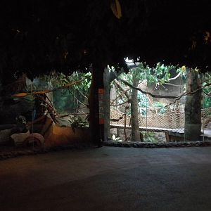 Natural Encounters Rainforest Exhibit