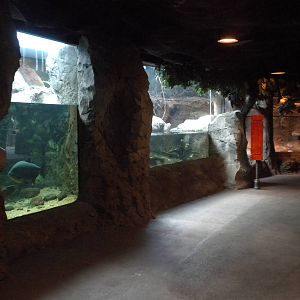 Natural Encounters River Exhibit