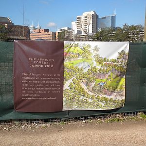 African Forest Construction