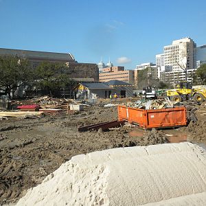 African Forest Construction