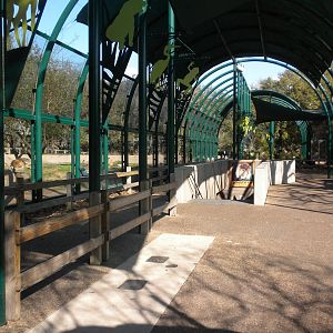 Lion exhibit