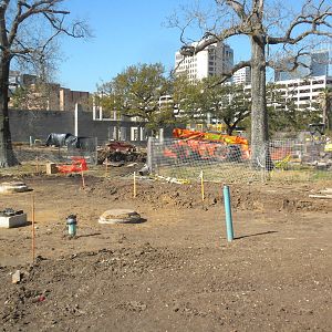 African Forest Construction