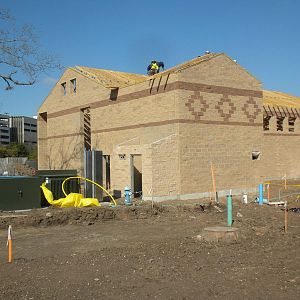 African Forest Construction