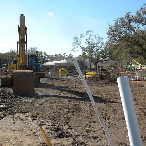 African Forest Construction