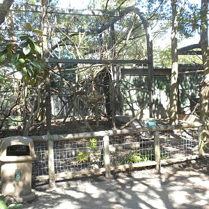 Tamarin exhibit