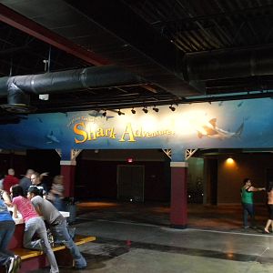 Shark adventure