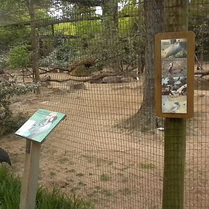 African Aviary