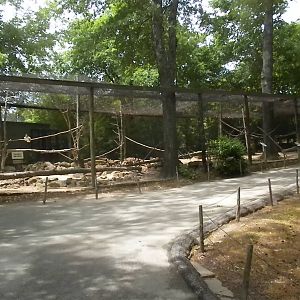 South American exhibit