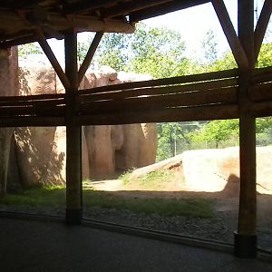 Lion exhibit