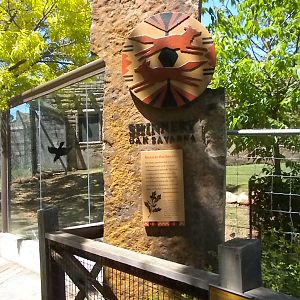 Oklahoma Trails - Shinnery Oak Savanna