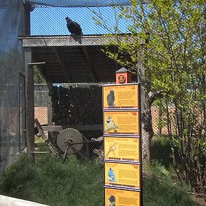 Oklahoma Trails aviary sign and vulture