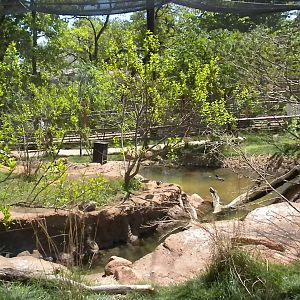 Oklahoma Trails Aviary