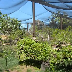 Oklahoma Trails aviary