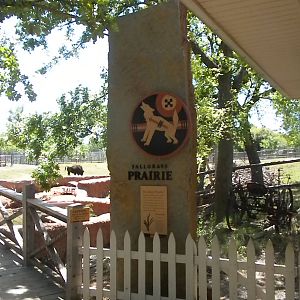 Oklahoma Trails - Tallgrass Prairie