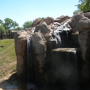 Grizzly Bear exhibit