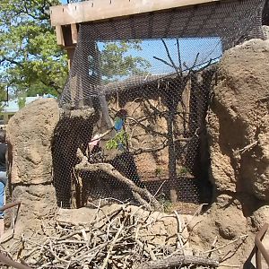 Children's Zoo - Macaw