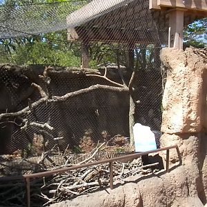 Children's Zoo - Macaw