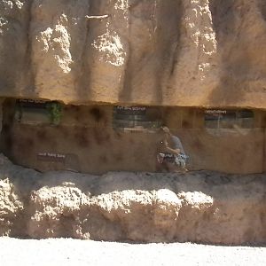 Children's Zoo - Bug exhibits