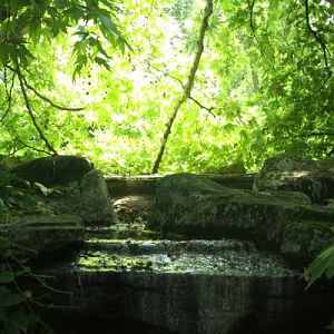 Antwerpen Zoo 08 July 2010