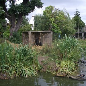 Gorilla Island - 24.07.2010