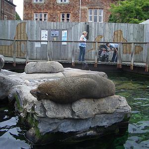 Seal and Penguin Coasts - 24.07.2010