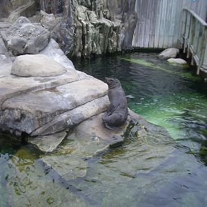 Seal and Penguin Coasts - 24.07.2010