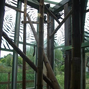 Monkey Jungle - 24.07.2010