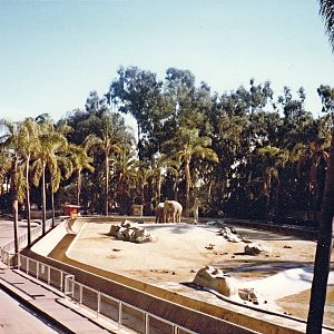 Asian Elephant exhibit - 1981