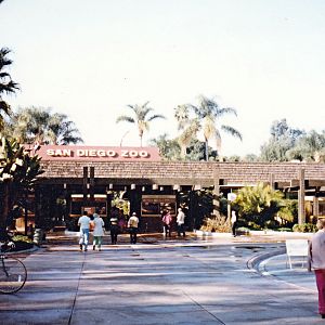 Main Entrance - 1981