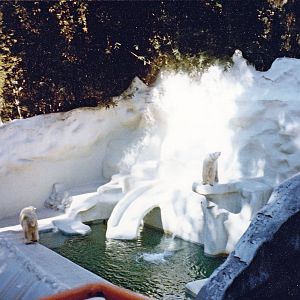 Polar Bear enclosure - 1981