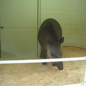 Zona Brazil Area - 24.07.2010