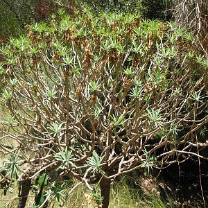 Los Angeles Zoo And Botanical Garden