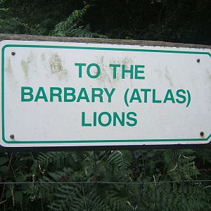Sign showing which to the Lions