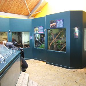 View of reptile exhibits
