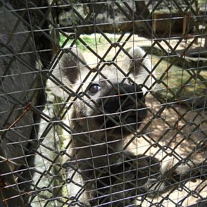 These two boys were very interested in company