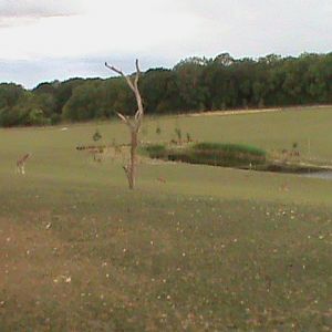 african exhibit 1 08/10