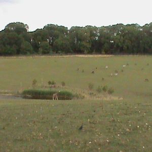 african exhibit 2 08/10