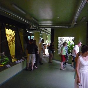 Tallinn Zoo