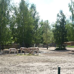 Tallinn Zoo