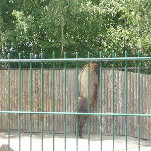 Tallinn Zoo