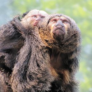 Son & Mother: Argyle & Katrina