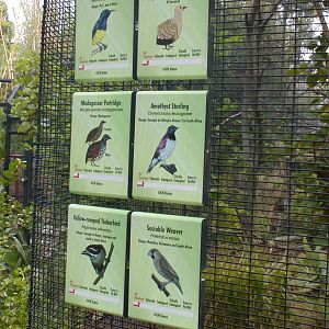 Monkey Trails and Forest Tales - Signage