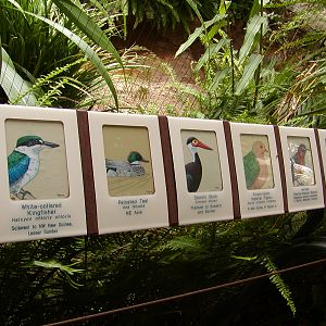 Tiger River - Marsh Aviary Signage