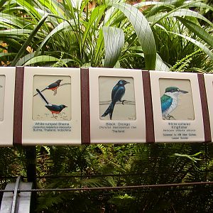 Tiger River - Marsh Aviary Signage