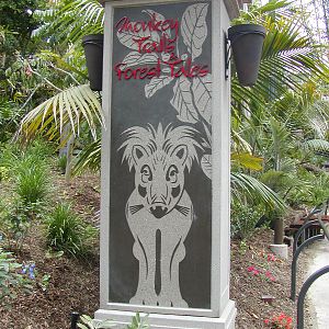 Monkey Trails and Forest Tales