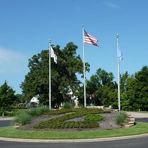 Entrance Flags